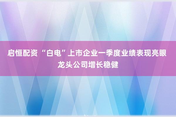 启恒配资 “白电”上市企业一季度业绩表现亮眼 龙头公司增长稳健